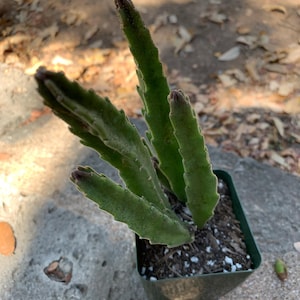 Donna added a photo of their purchase