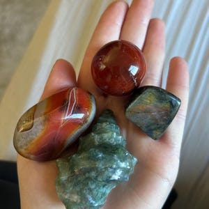 Mackenzie added a photo of their purchase
