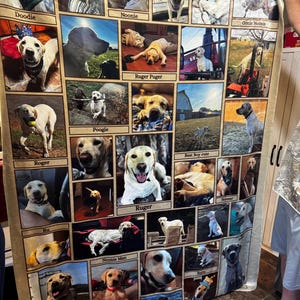 Mary added a photo of their purchase