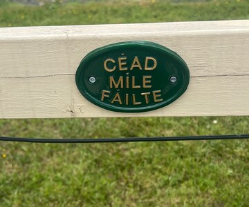 Cead Mile Failte, Green & Gold