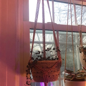 Appendiabi per piante Boho, corda di cotone intrecciata con custodia