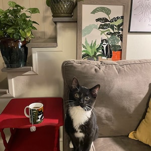 Jenn added a photo of their purchase