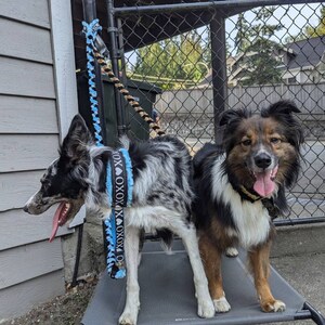 AT added a photo of their purchase