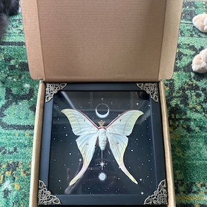 Alena added a photo of their purchase