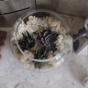 Lindsay added a photo of their purchase