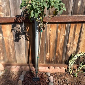 Terri added a photo of their purchase