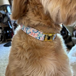 Brittney added a photo of their purchase