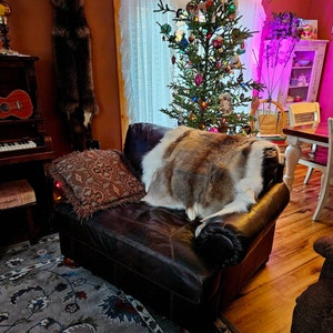 Leithe added a photo of their purchase