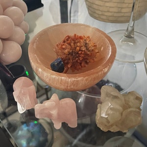 Patricia added a photo of their purchase