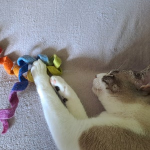 Kathrin さんが購入した商品の写真を追加しました