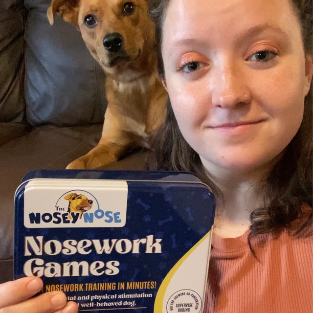 The Nose Knows: Nose Work Games for Dogs – Furtropolis