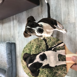 Etsy buyer added a photo of their purchase