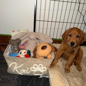 Rylan added a photo of their purchase