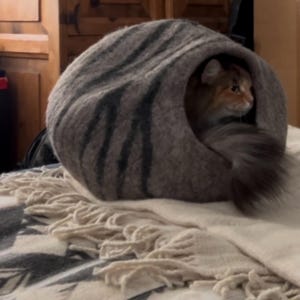 Terra added a photo of their purchase