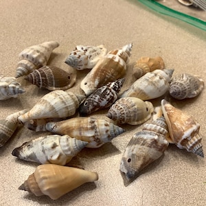 Suzanne added a photo of their purchase