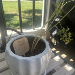 McKenzie added a photo of their purchase