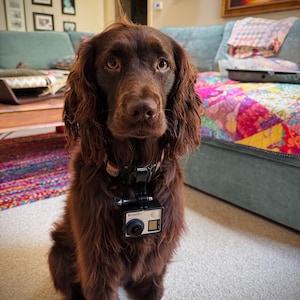 Heather heeft een foto van de aankoop toegevoegd