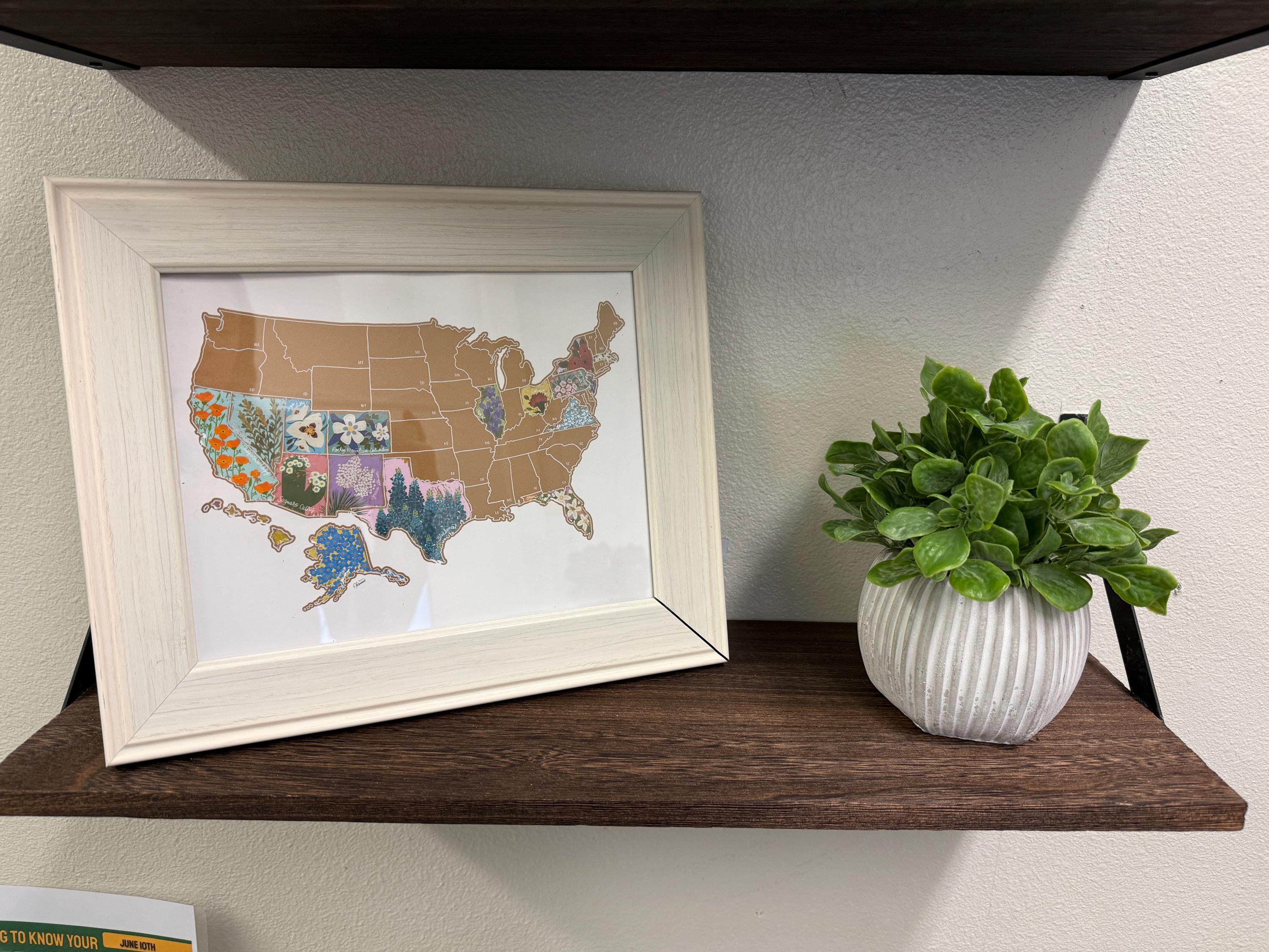 Desk Size Scratch Your Travels State Flowers USA Map | Small Scratch Off Map | Travel United States Map Gift |  Present Birthday