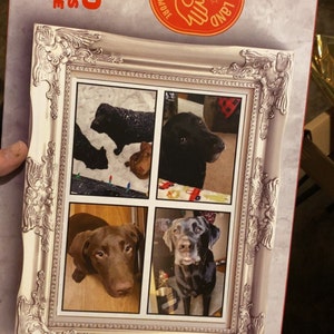 Phoebe a ajouté une photo de son achat