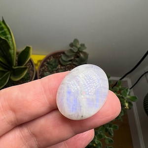 Jennifer added a photo of their purchase