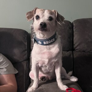 Inactive account added a photo of their purchase