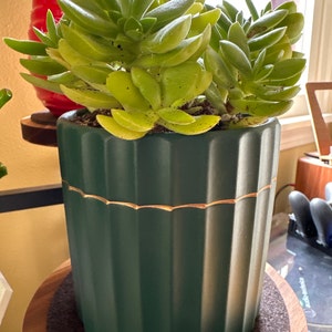 Robin added a photo of their purchase