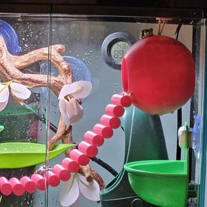 Acquirente Etsy ha aggiunto una foto del proprio acquisto