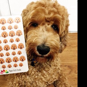 Leigh added a photo of their purchase