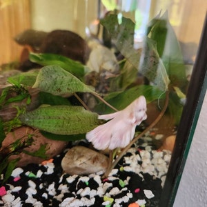 Amy added a photo of their purchase