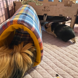 Penny added a photo of their purchase