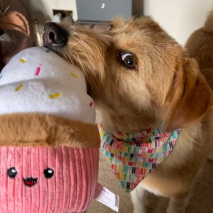 Victoria added a photo of their purchase