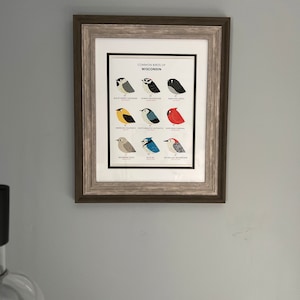 Common State Birds of North Carolina Art Print Illustrated Chubby Bird Print North Carolina ...