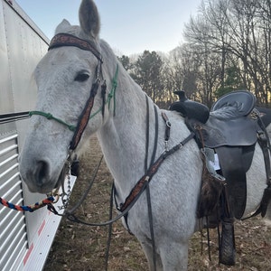 Ali-Grace heeft een foto van de aankoop toegevoegd