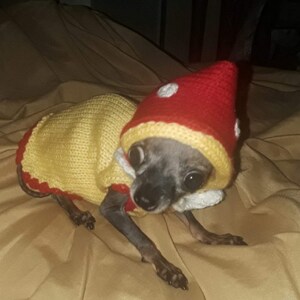 Maggie added a photo of their purchase