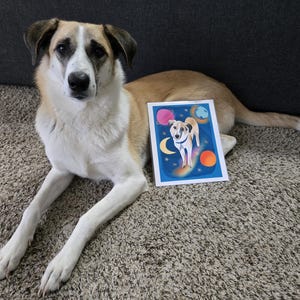 Shannon added a photo of their purchase