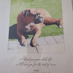 Lisa added a photo of their purchase