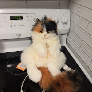 Emily added a photo of their purchase