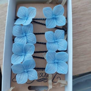 Sandra added a photo of their purchase