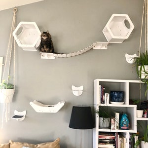 Mary added a photo of their purchase