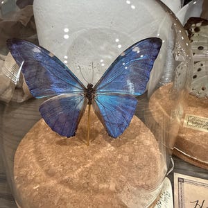 Hilda added a photo of their purchase