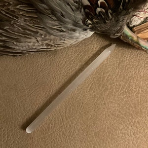 Shelly added a photo of their purchase