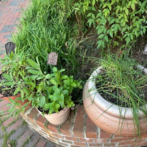 Maria-Elena added a photo of their purchase