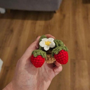 Eve さんが購入した商品の写真を追加しました