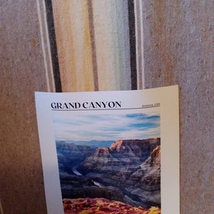 Fern added a photo of their purchase