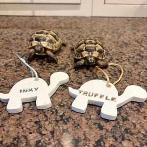 Katie added a photo of their purchase