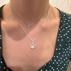 lily added a photo of their purchase