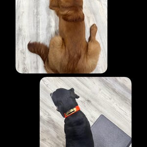 Raychel adicionaram uma foto da sua compra
