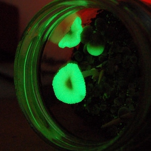 Andre added a photo of their purchase