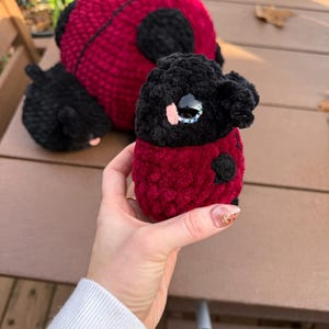Lindsey ha añadido una foto de su compra