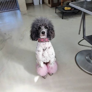 Becky added a photo of their purchase